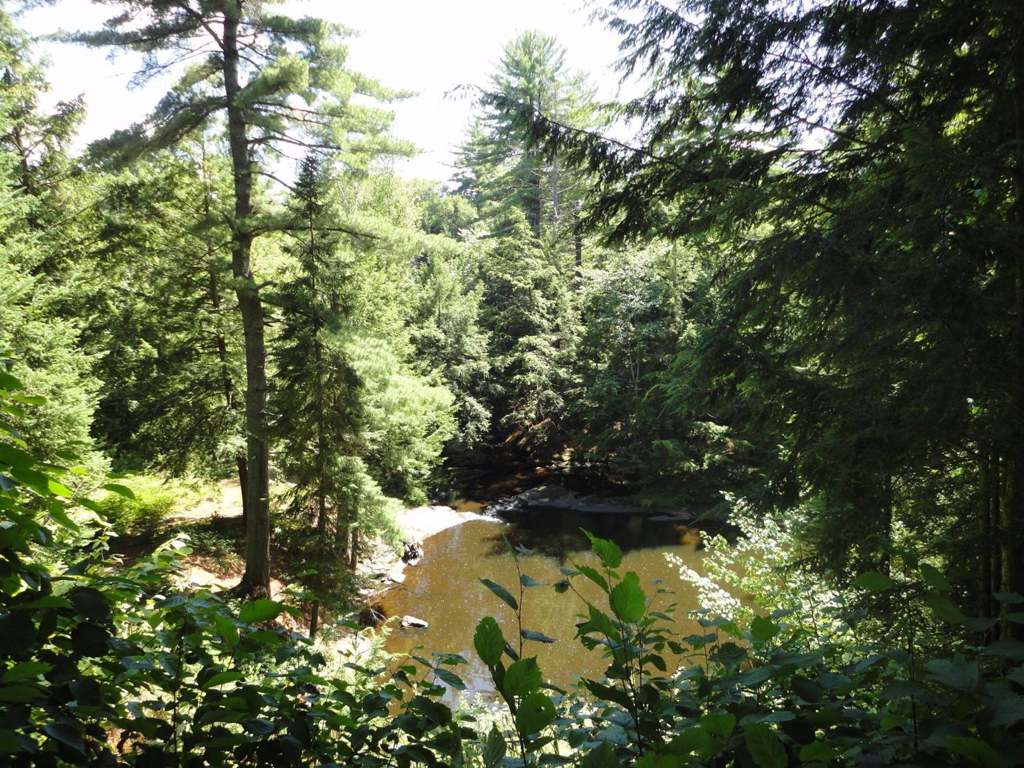 Dwight Riverside Inn Buitenkant foto